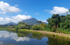 657b3811-58fa-4e17-9cae-2107c4495f63