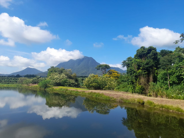 657b3811-58fa-4e17-9cae-2107c4495f63